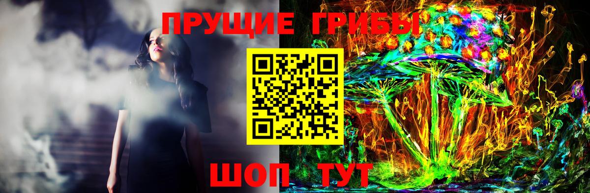 Псилоцибиновые грибы Cubensis Советский